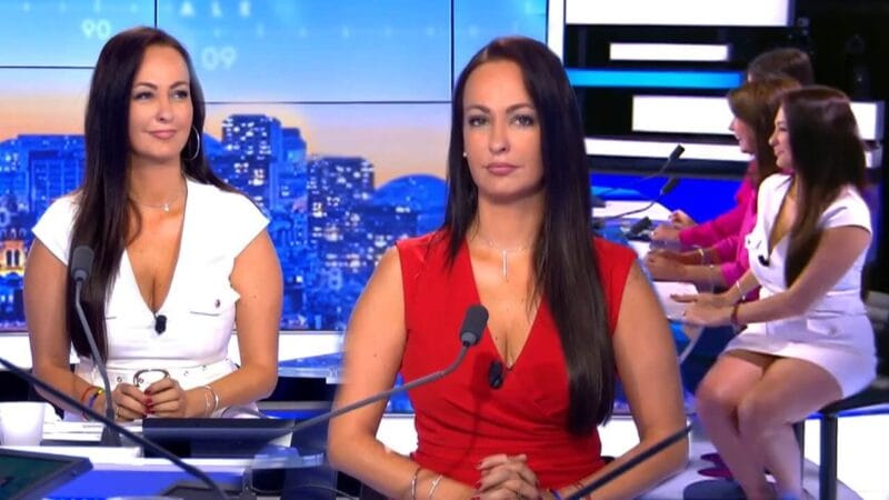 Damien Pellerin et Alexandra Blanc : Tout Savoir sur ce Duo Fascinant